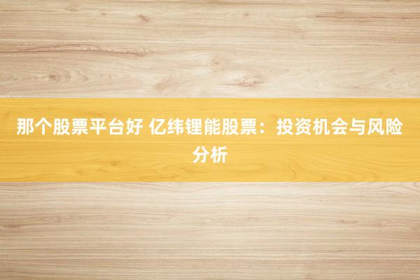 那个股票平台好 亿纬锂能股票：投资机会与风险分析