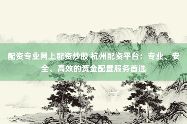配资专业网上配资炒股 杭州配资平台：专业、安全、高效的资金配置服务首选