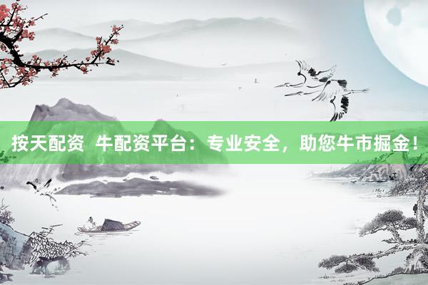 按天配资  牛配资平台：专业安全，助您牛市掘金！
