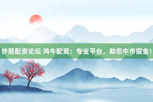 炒股配资论坛 鸿牛配资：专业平台，助您牛市掘金！