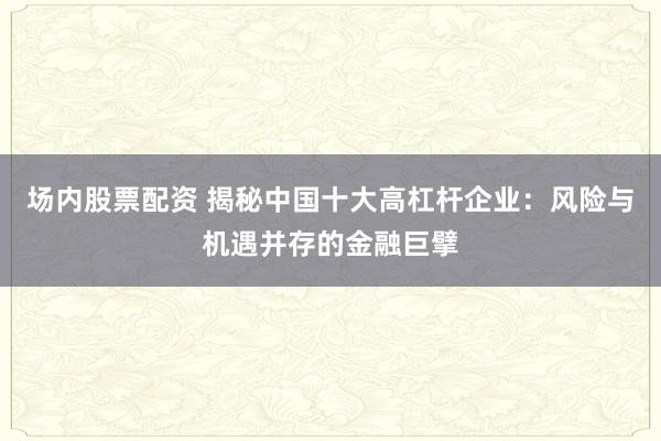 场内股票配资 揭秘中国十大高杠杆企业：风险与机遇并存的金融巨擘