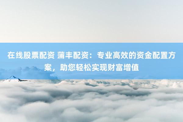 在线股票配资 蒲丰配资：专业高效的资金配置方案，助您轻松实现财富增值