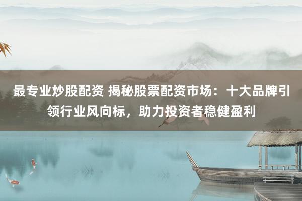 最专业炒股配资 揭秘股票配资市场:十大品牌引领行业风向标,助力投资者稳健盈利