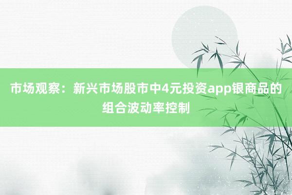 市场观察:新兴市场股市中4元投资app银商品的组合波动率控制