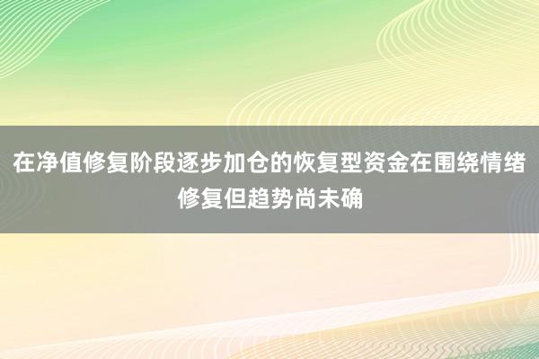 在净值修复阶段逐步加仓的恢复型资金在围绕情绪修复但趋势尚未确