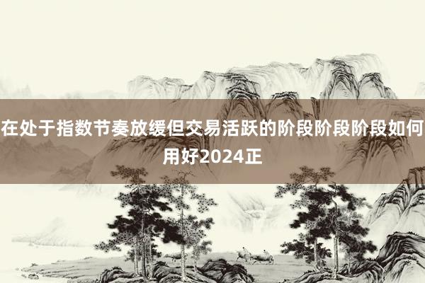 在处于指数节奏放缓但交易活跃的阶段阶段阶段如何用好2024正