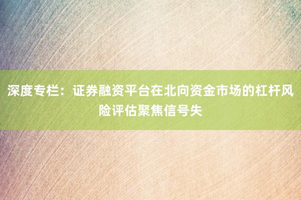 深度专栏：证券融资平台在北向资金市场的杠杆风险评估聚焦信号失