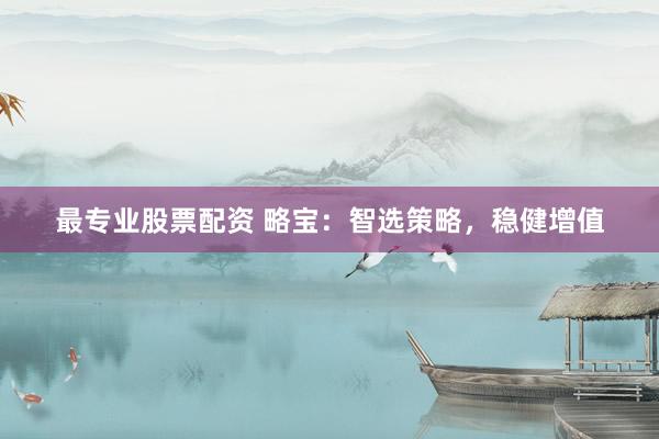 最专业股票配资 略宝：智选策略，稳健增值
