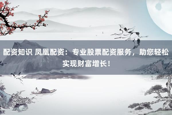 配资知识 凤凰配资：专业股票配资服务，助您轻松实现财富增长！